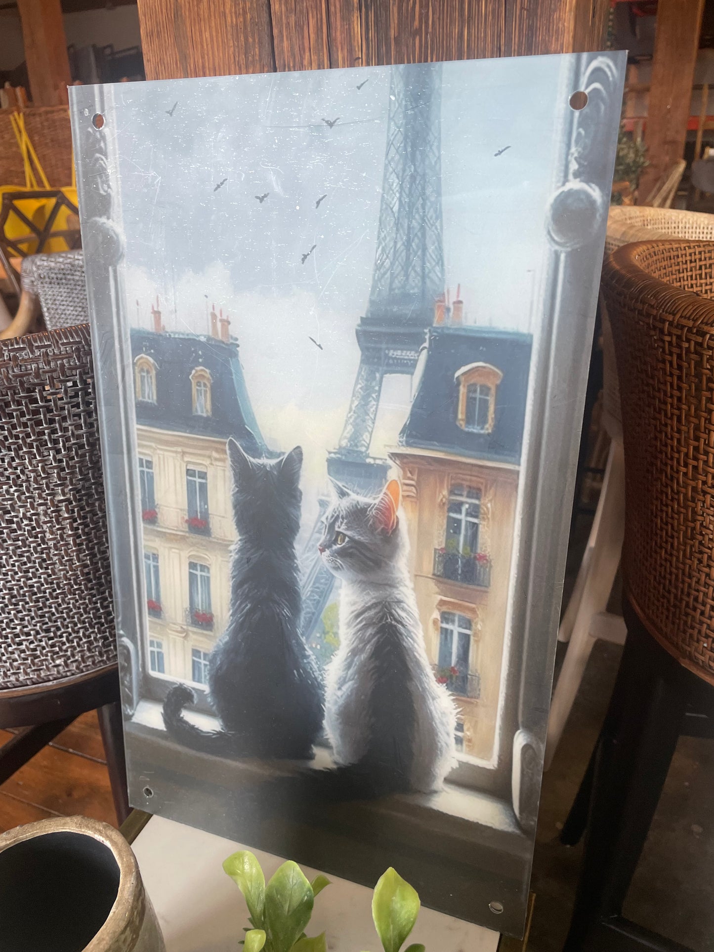 Two Cats In Paris acrylic wall art🗼