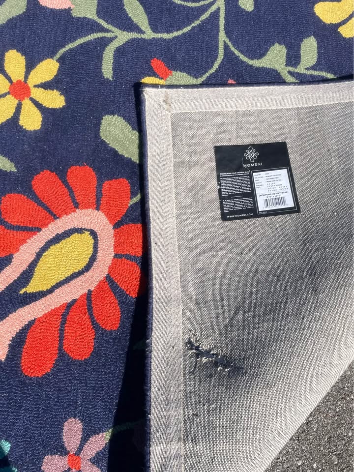 8x10 flower Momeni wool rug 🌼