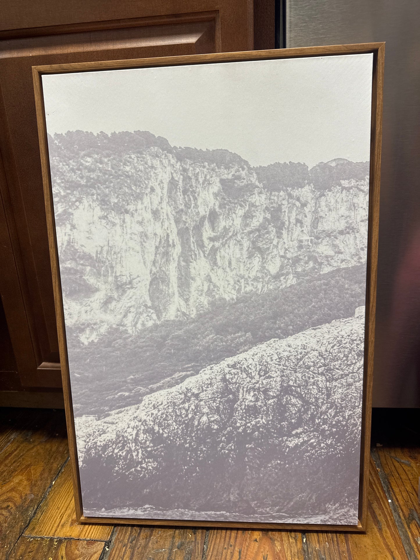 Wood framed, gray scale cliff canvas, 16x24” 🩶