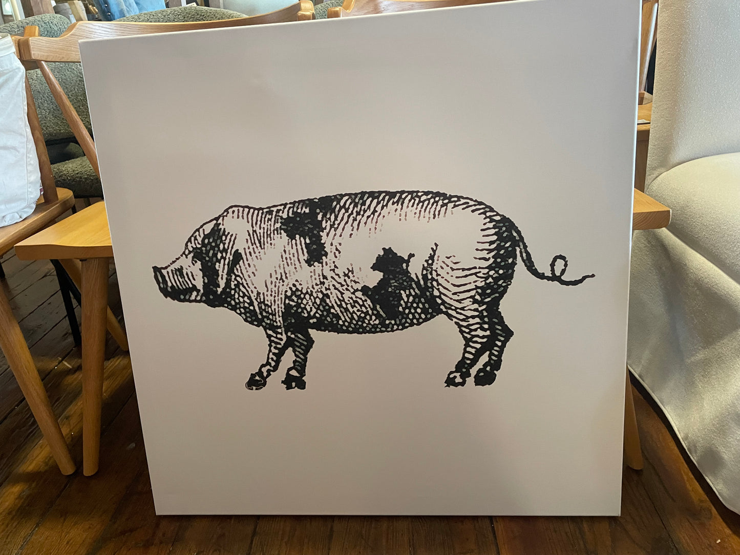 Sketched pig 30” square canvas 🐷