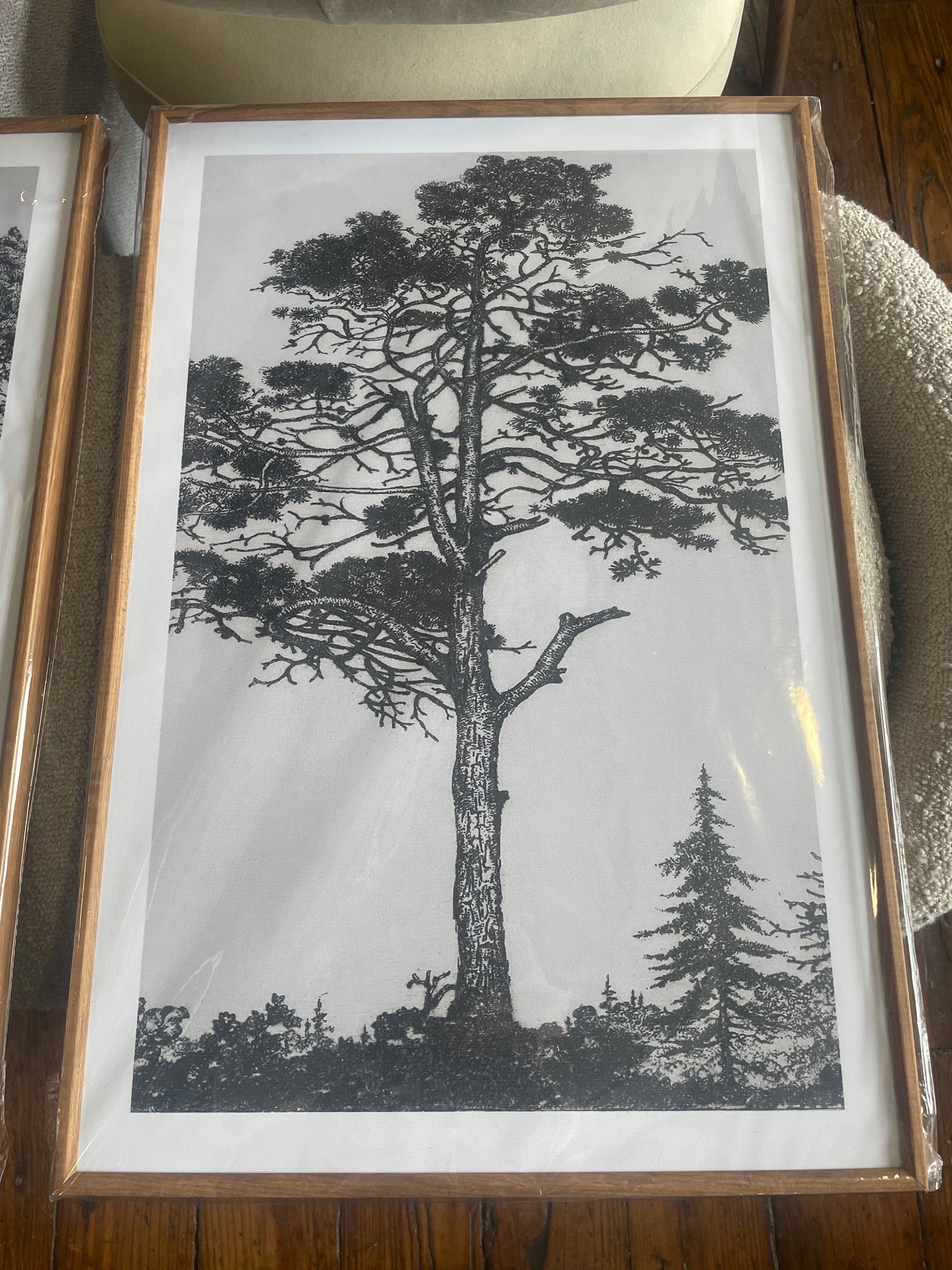 Vintage-inspired framed tree 16x24x3 sketches 🌿