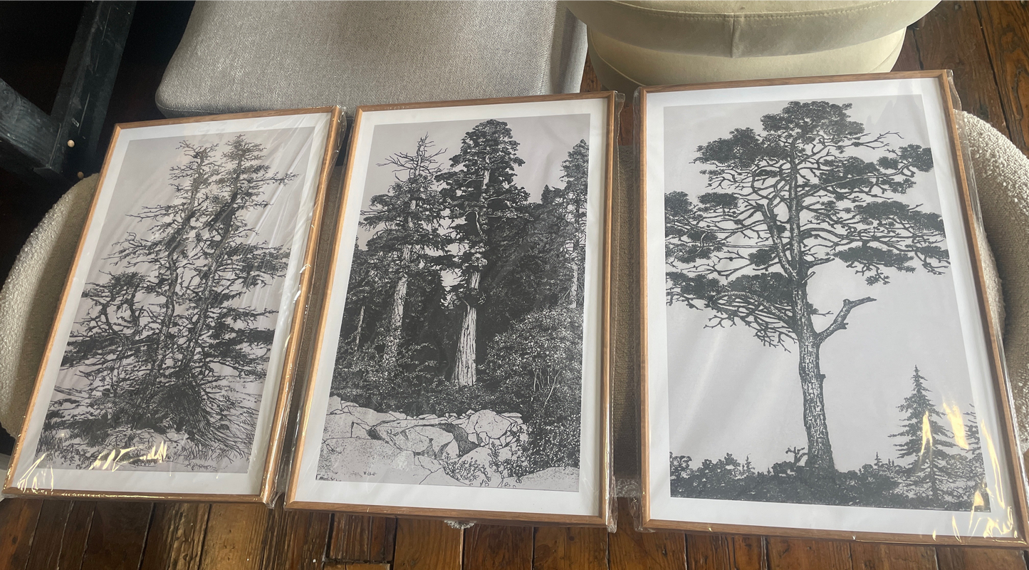 Vintage-inspired framed tree 16x24x3 sketches 🌿