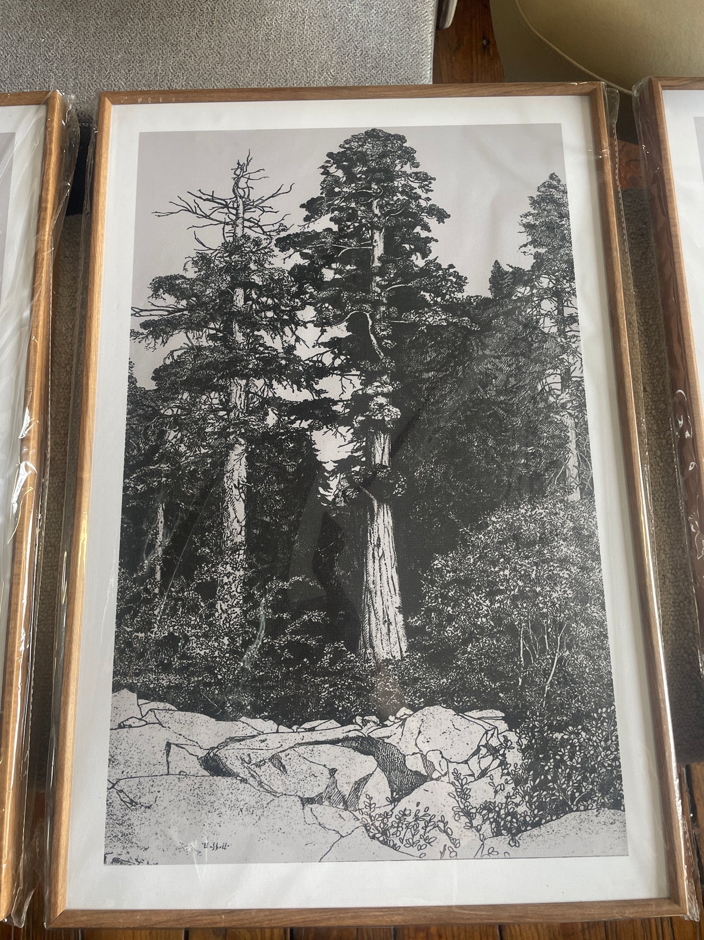 Vintage-inspired framed tree 16x24x3 sketches 🌿