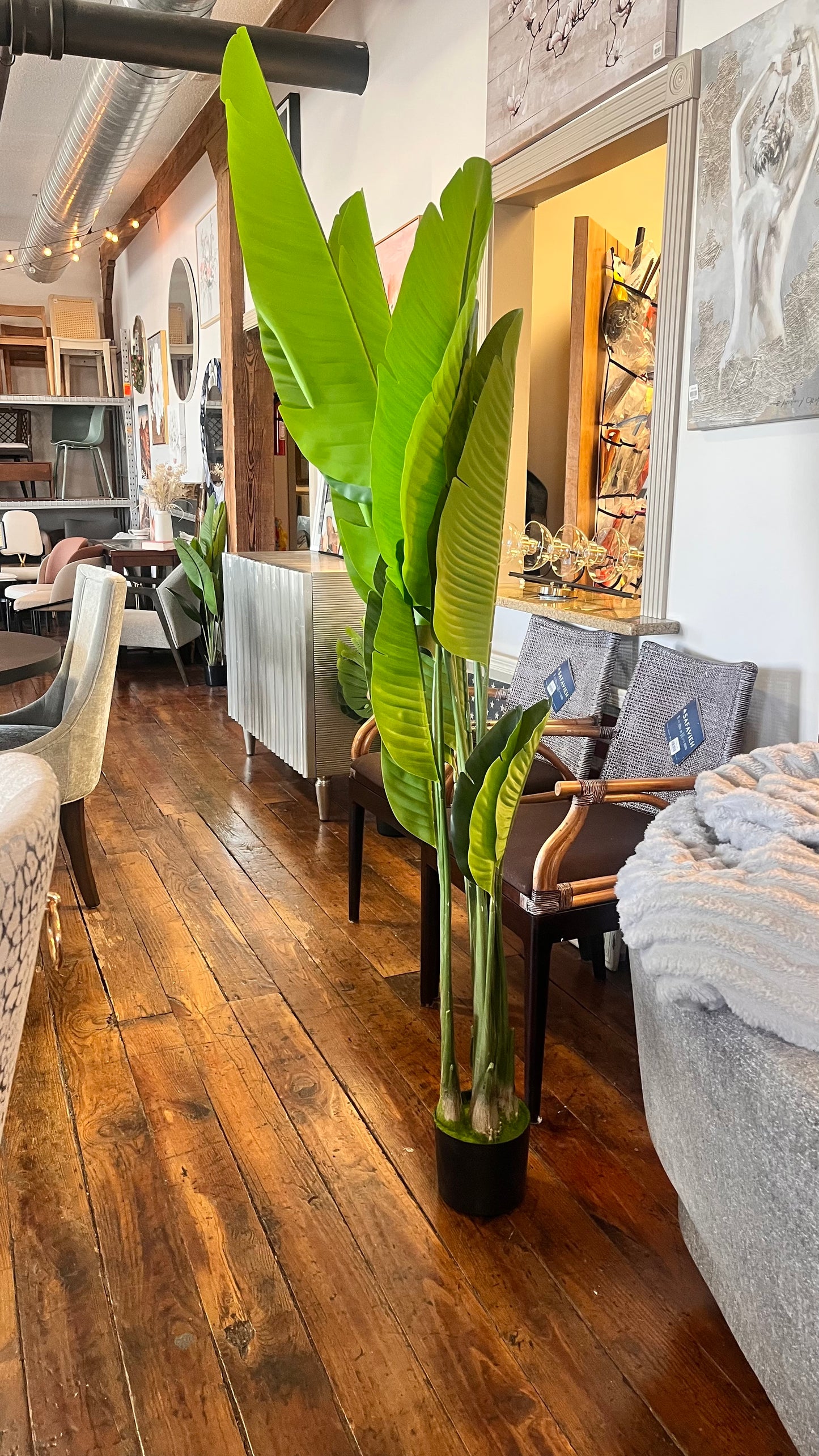 6ft faux birds of paradise plant 🌱