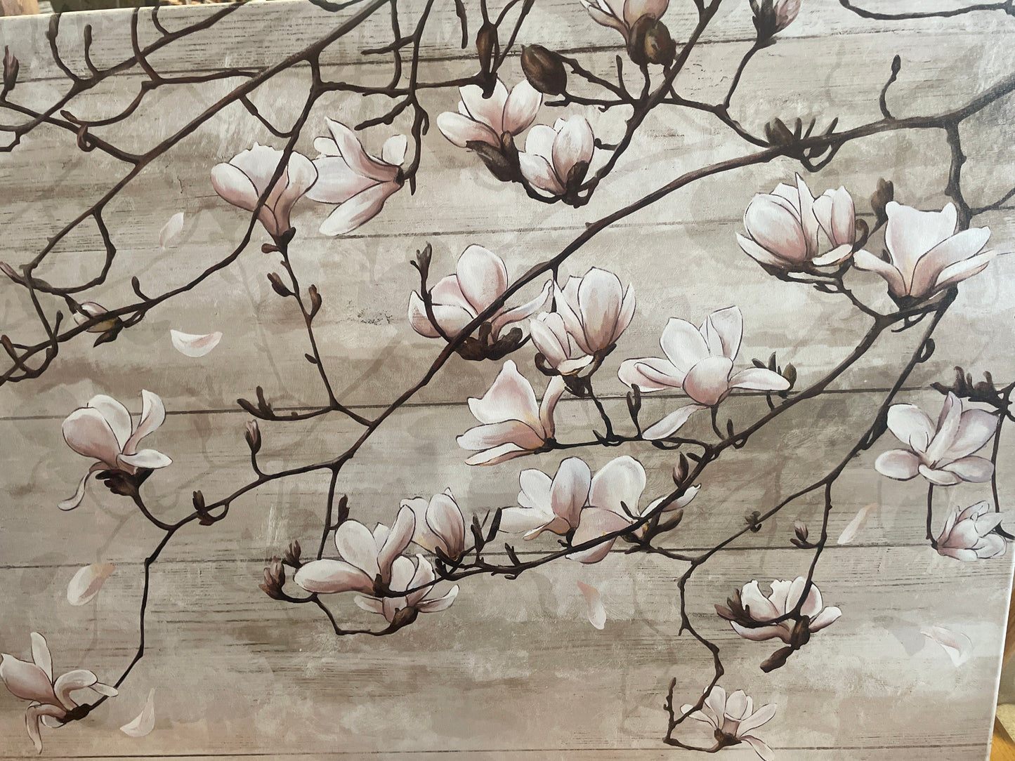 Beige & pink 24x35 magnolia canvas 🪷