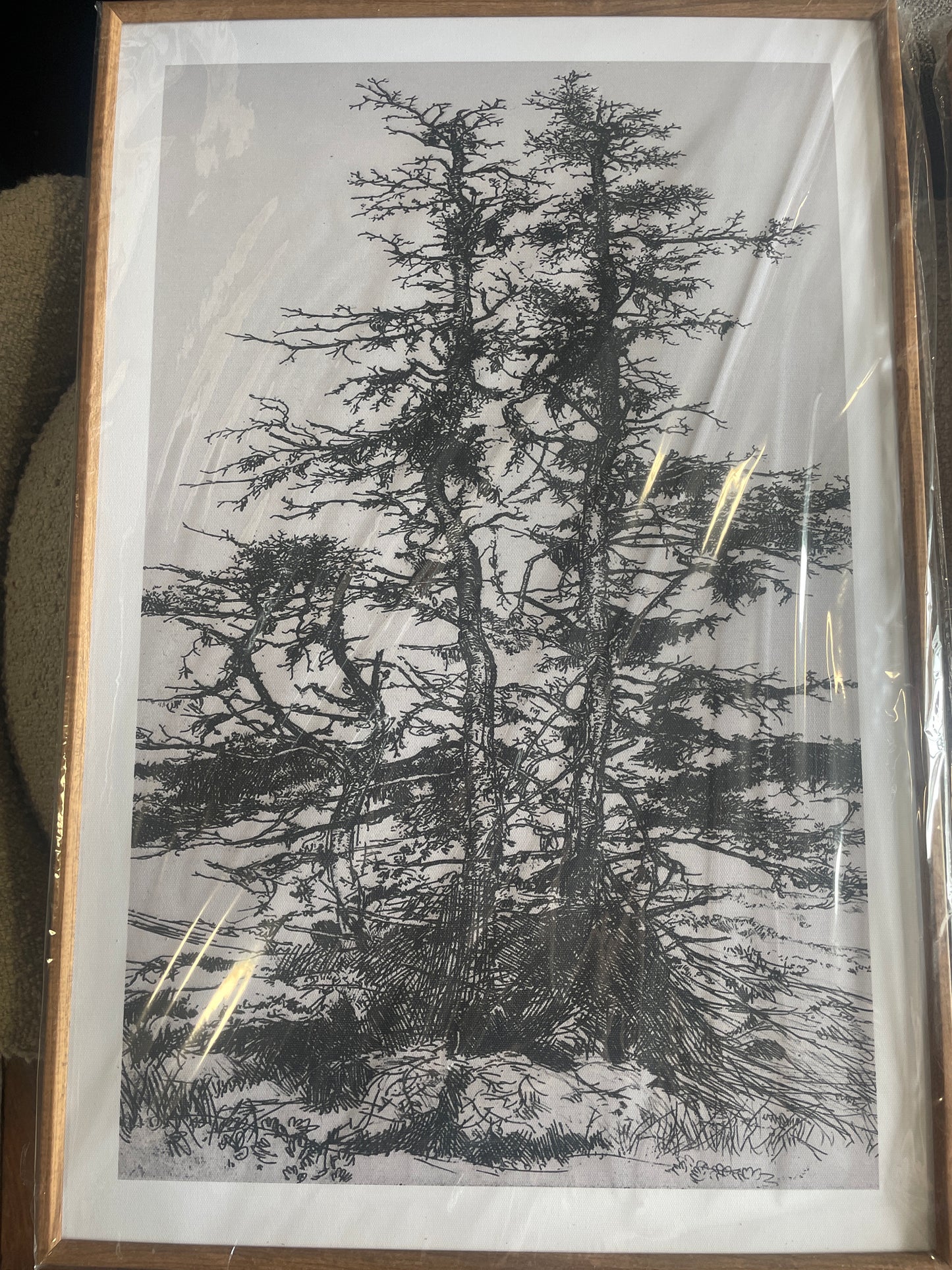 Vintage-inspired framed tree 16x24x3 sketches 🌿