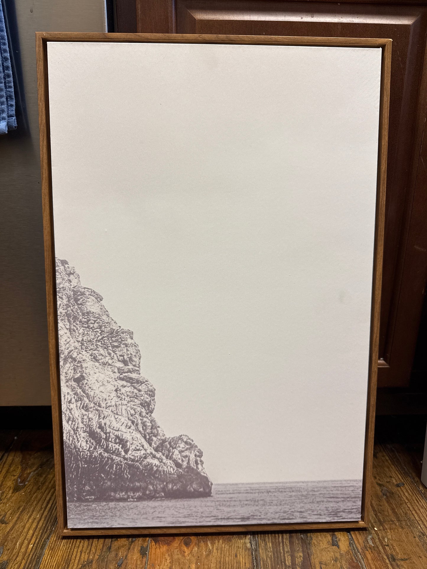 Wood Framed Grayscale Cliff Canvas, 16x24 π