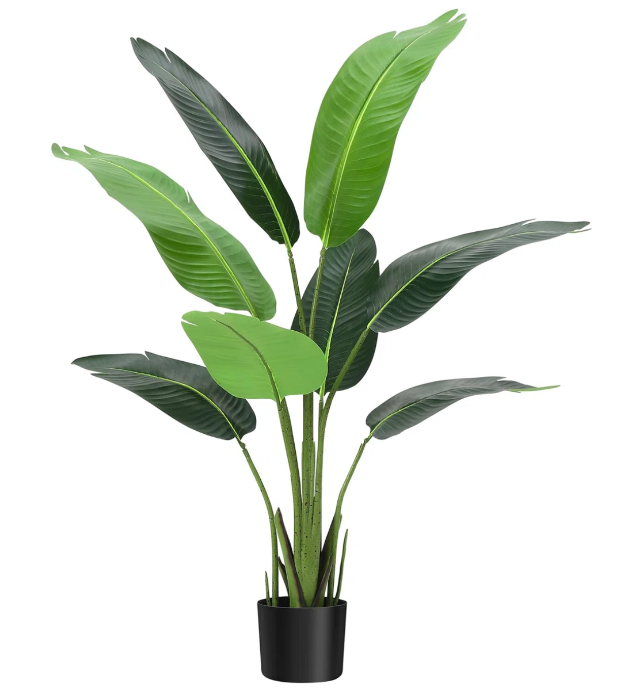 Faux 5ft bird of paradise plant 🌿