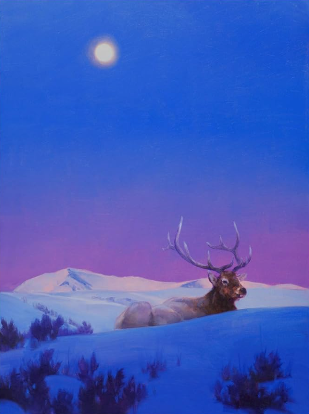 Colorful 14"x19" elk canvas ππ