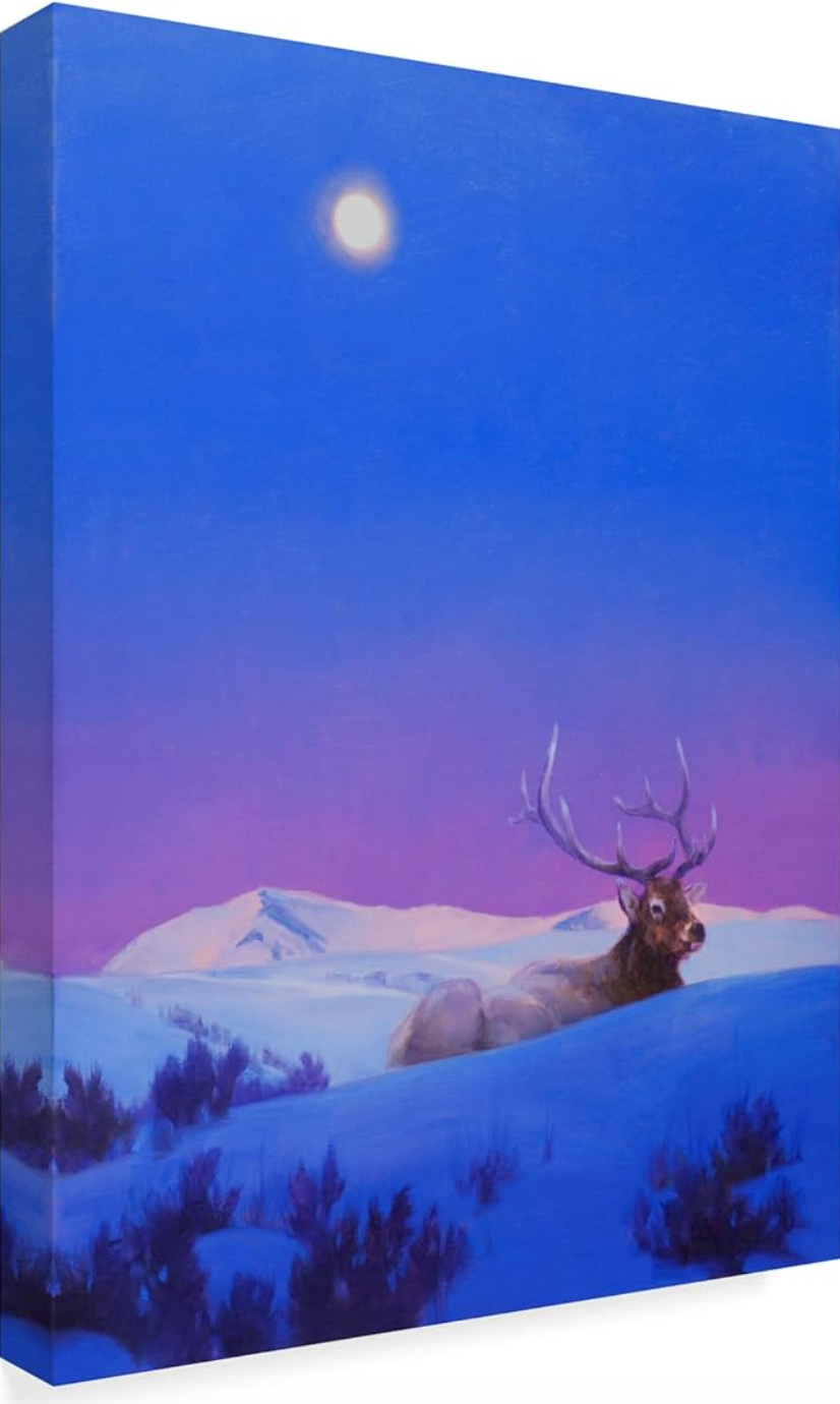 Colorful 14"x19" elk canvas ππ