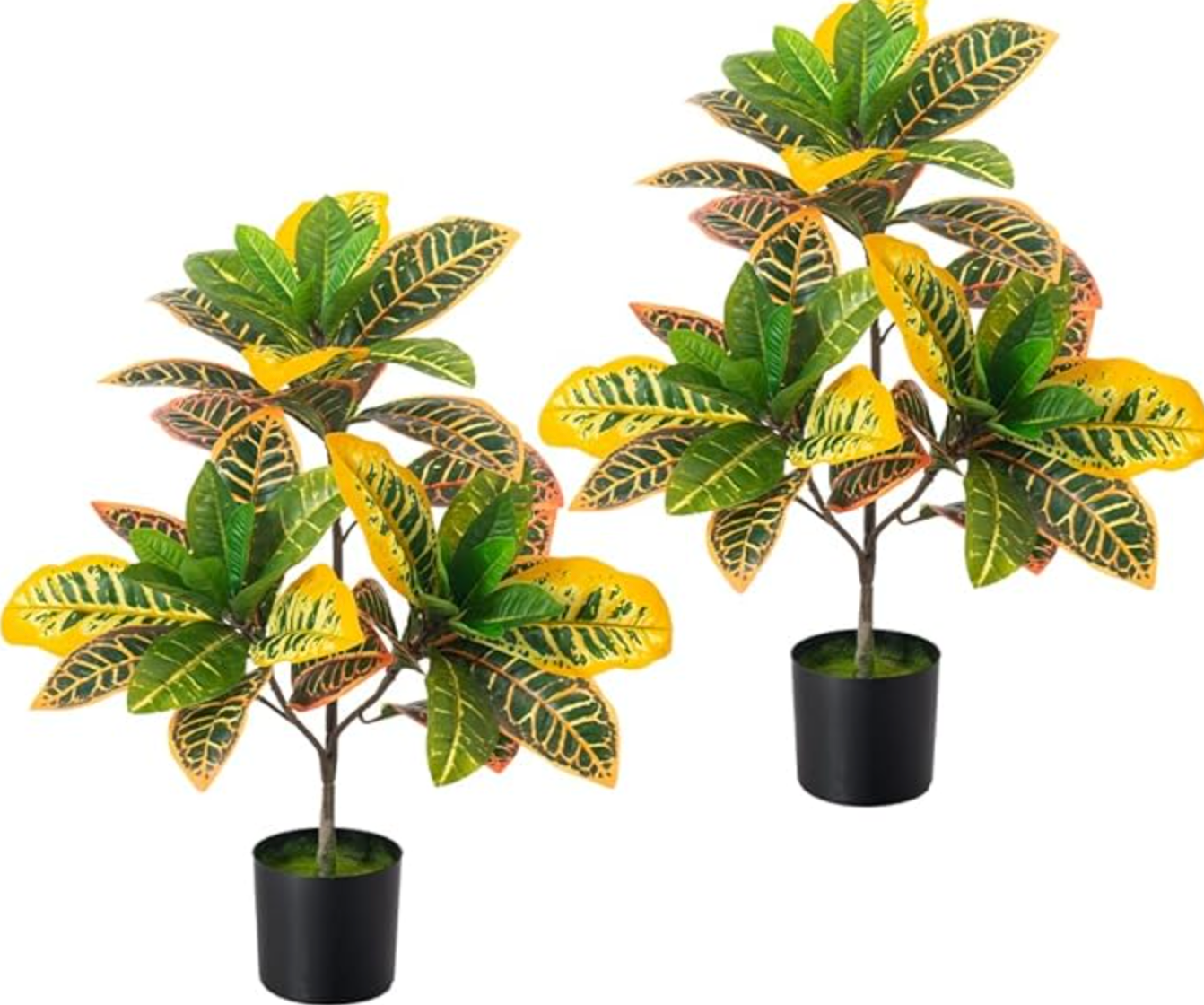 Set of 2 faux 2ft croton plants 🌱