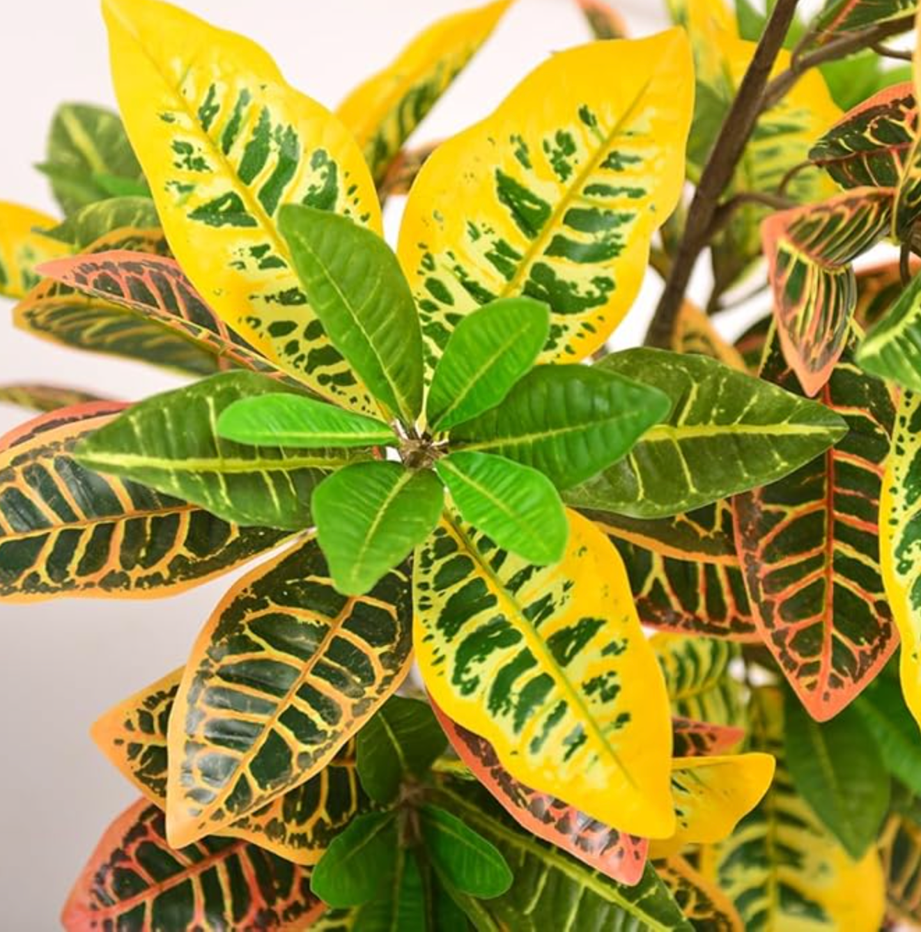 Set of 2 faux 2ft croton plants 🌱
