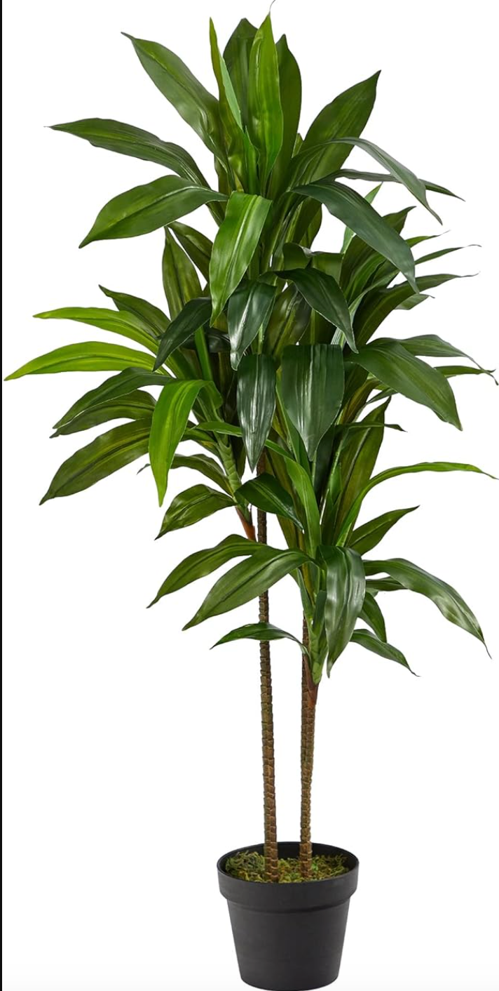 Faux 48in dracaena / corn plant π½