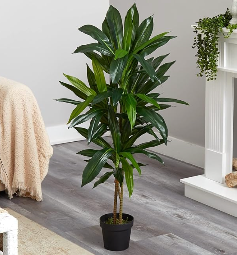Faux 48in dracaena / corn plant π½