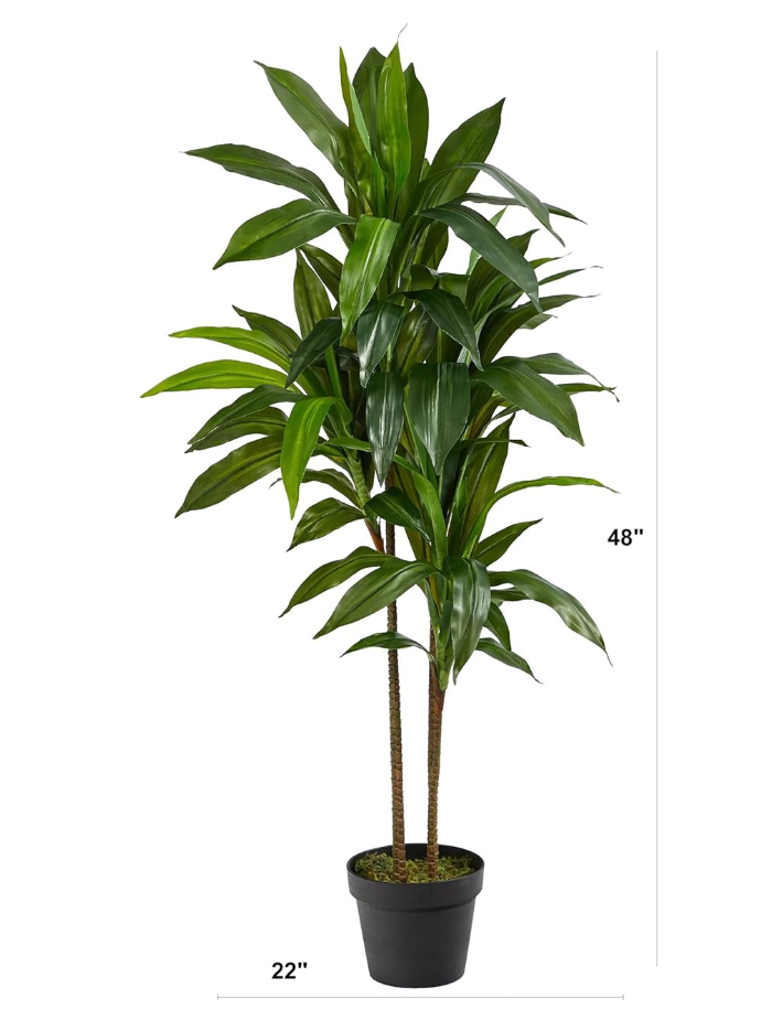 Faux 48in dracaena / corn plant π½