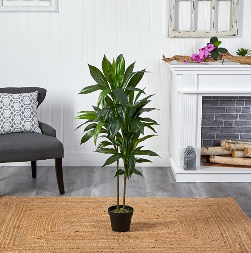 Faux 48in dracaena / corn plant π½