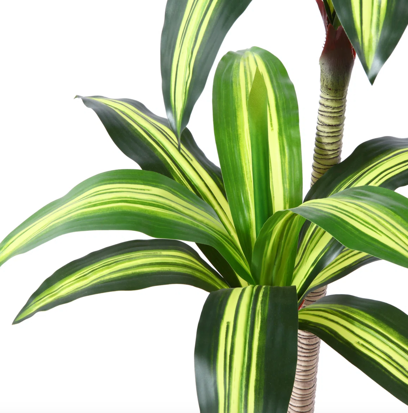 Faux dracaena plant 🌿