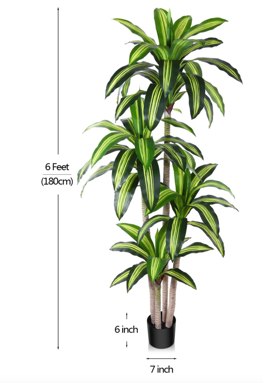 Faux dracaena plant 🌿