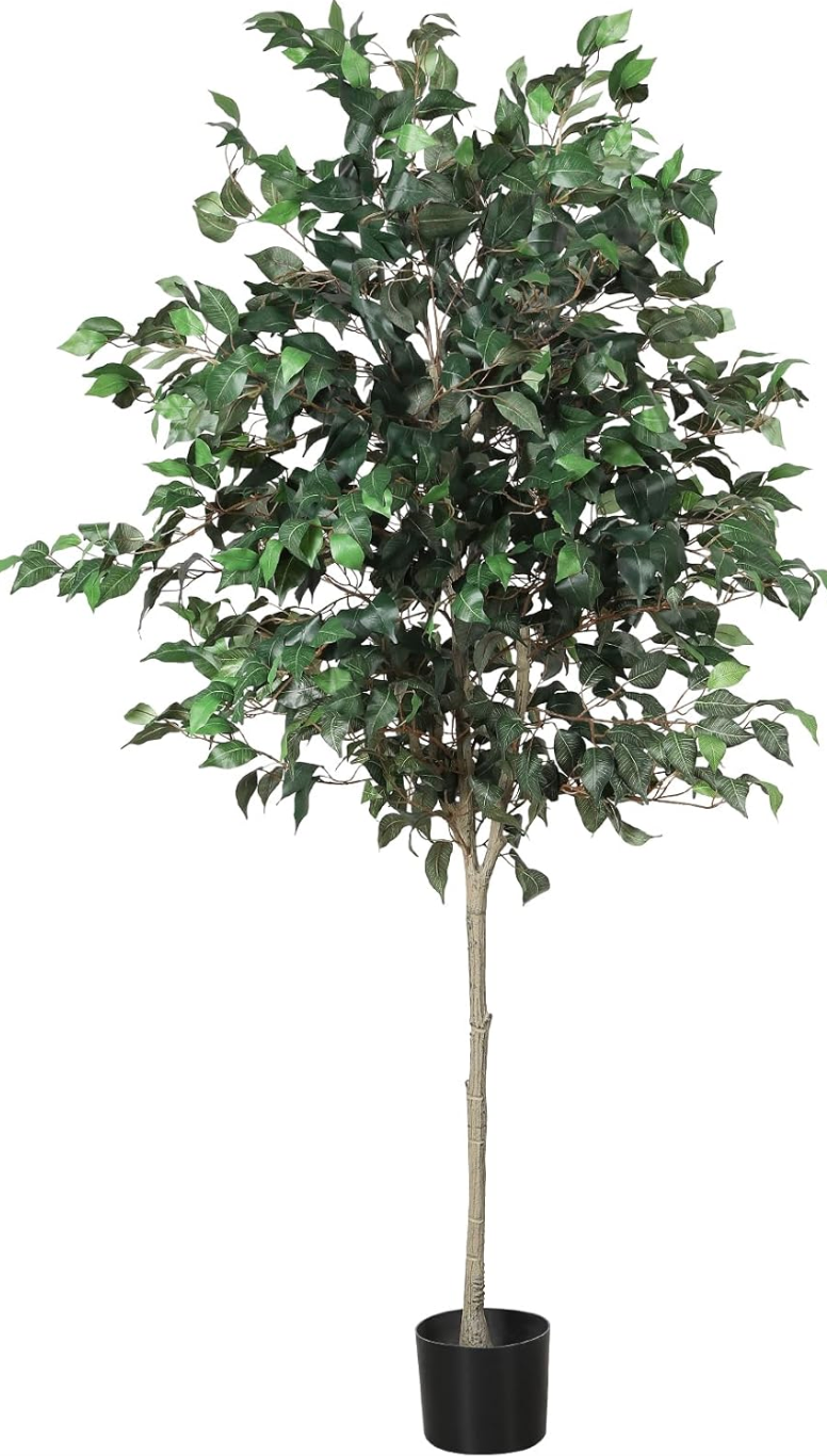 6ft faux ficus tree 🌿