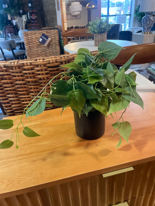Faux pothos plant in black pot 🍃