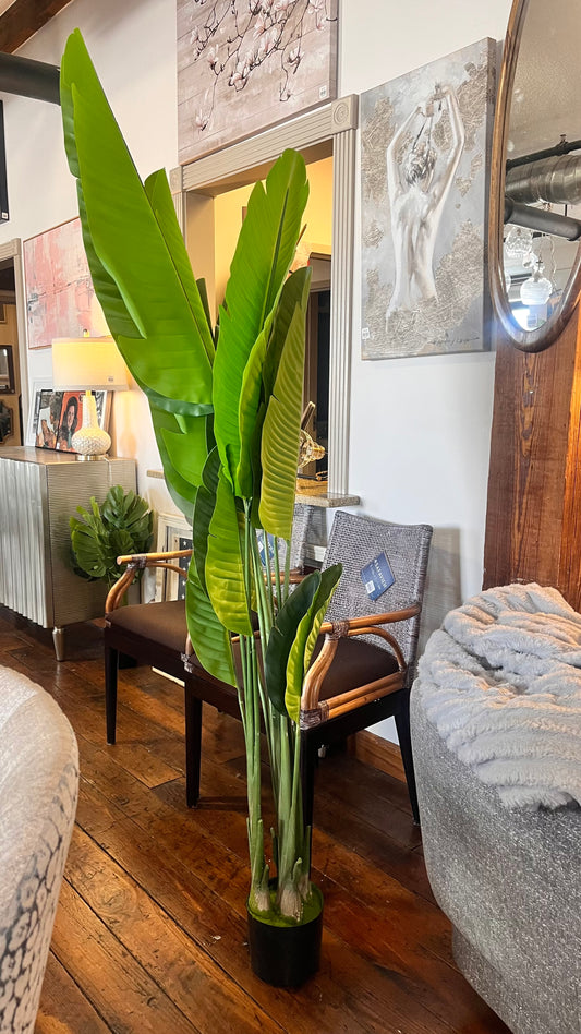 6ft faux birds of paradise plant 🌱