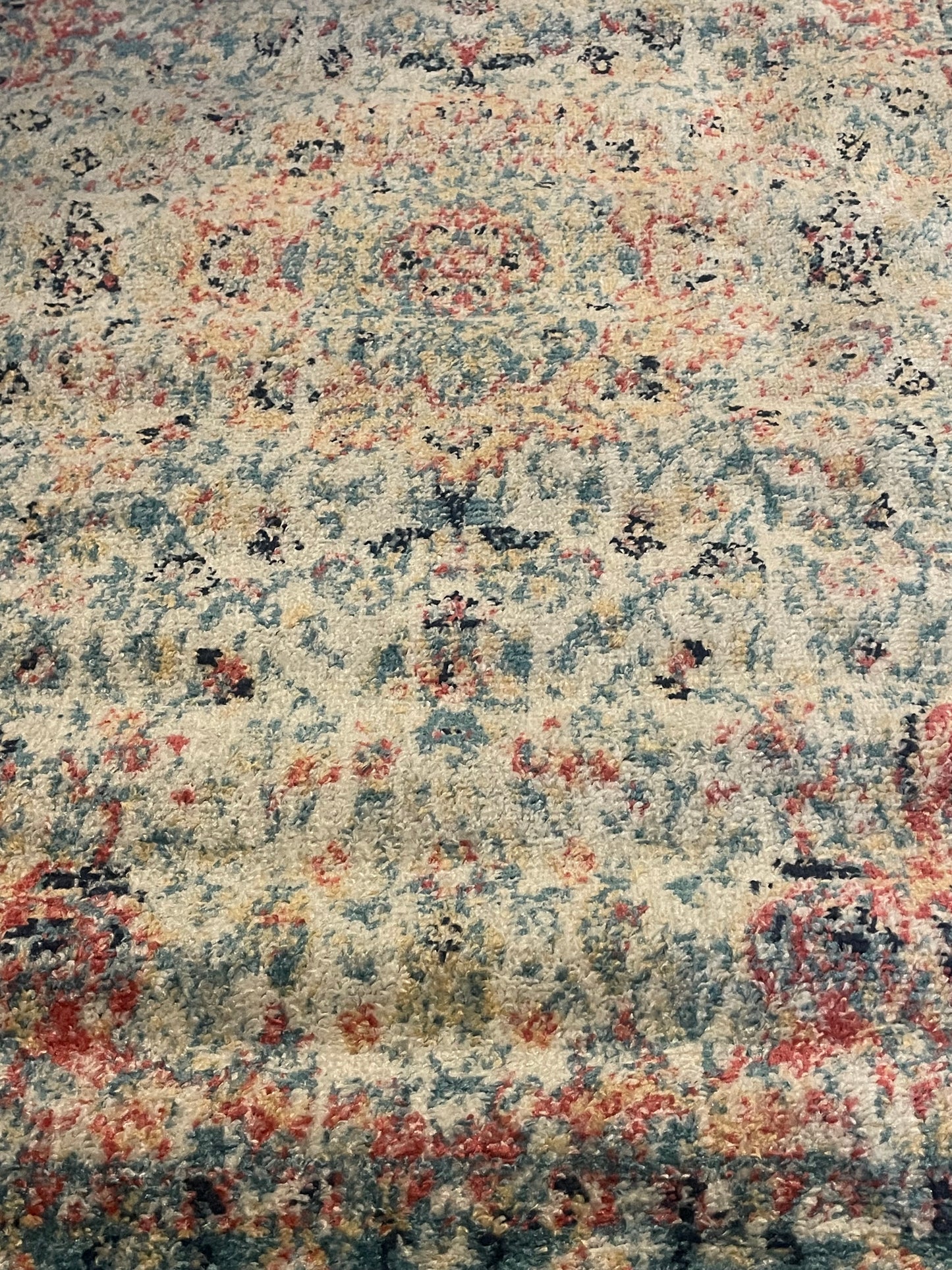 4x6 multicolor botanical rug 🌸