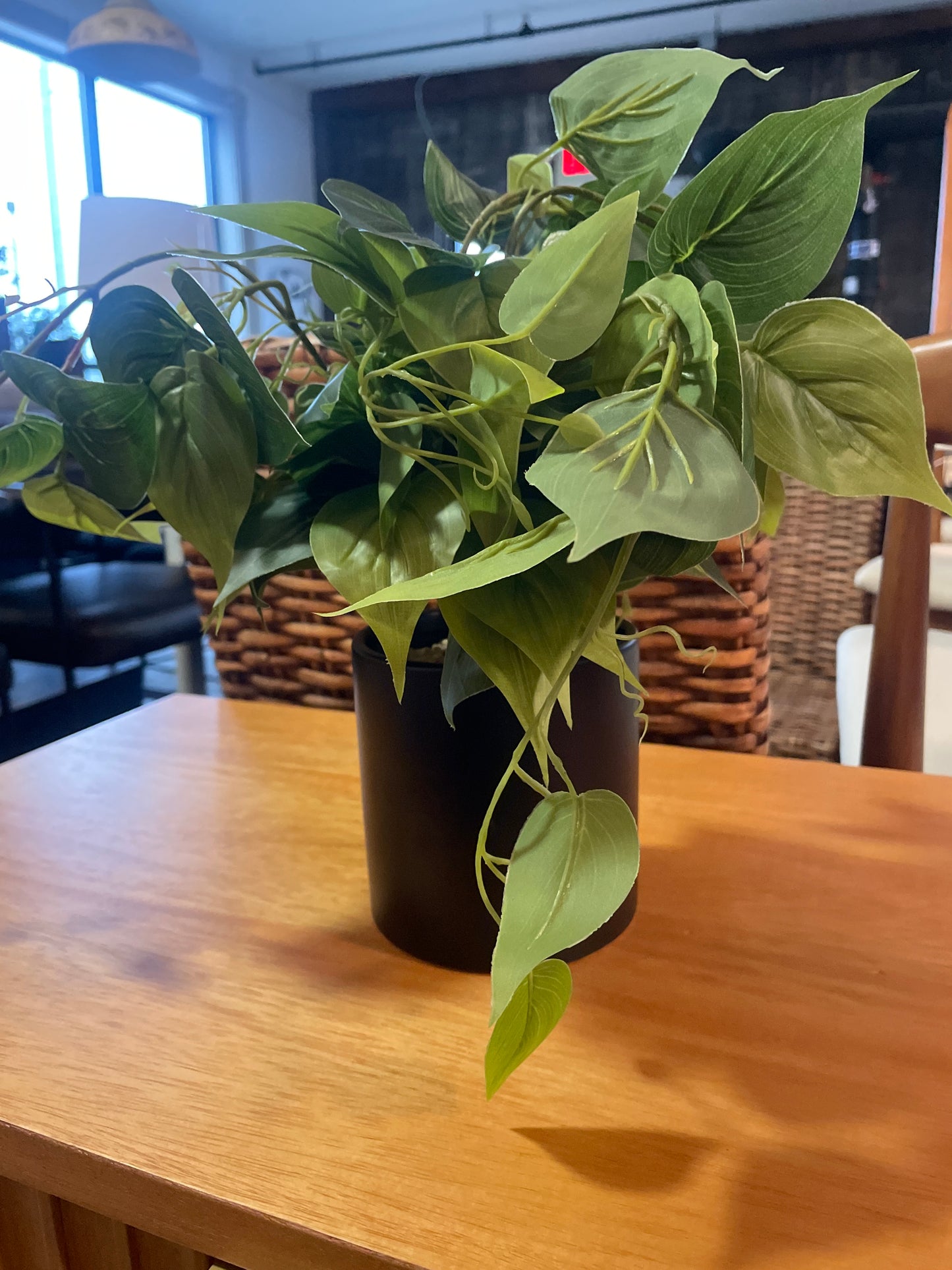 Faux pothos plant in black pot 🍃