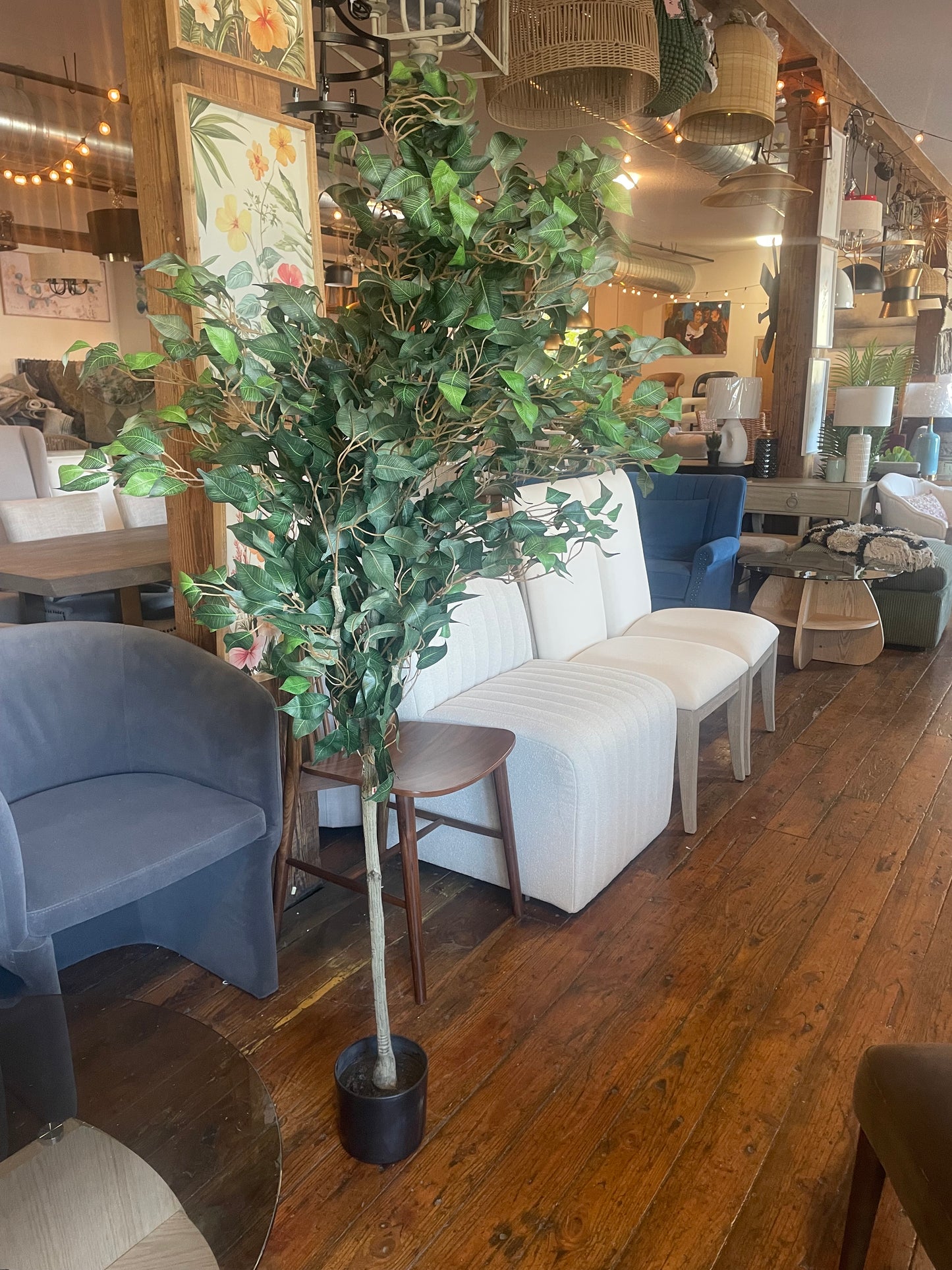 6ft faux ficus tree 🌿