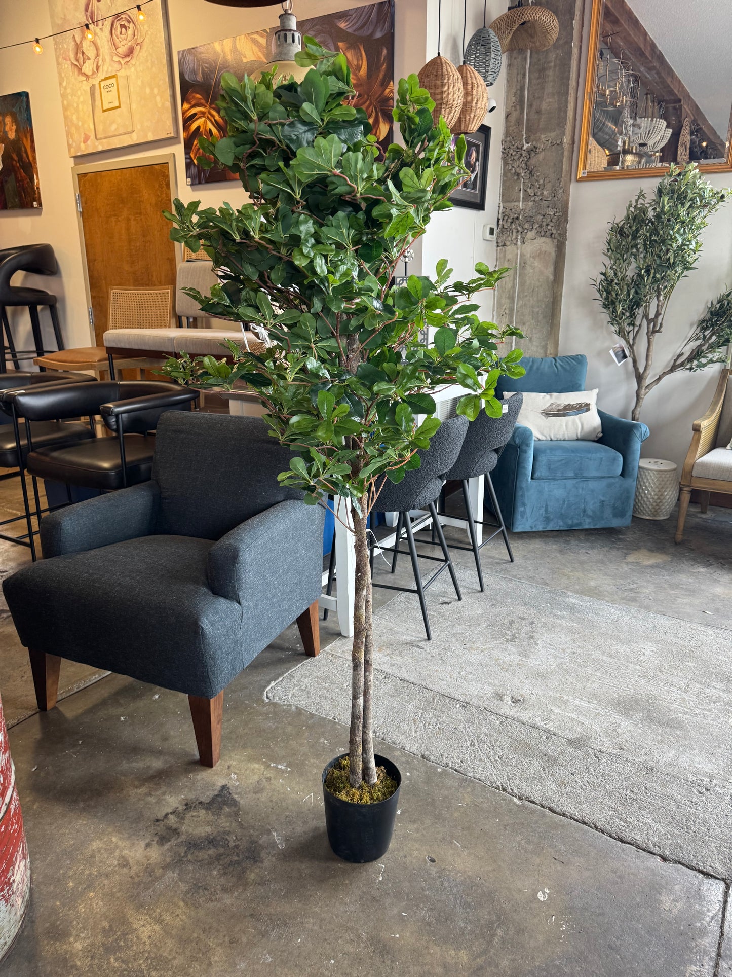 Faux ficus tree w/ natural wood roots 🌳