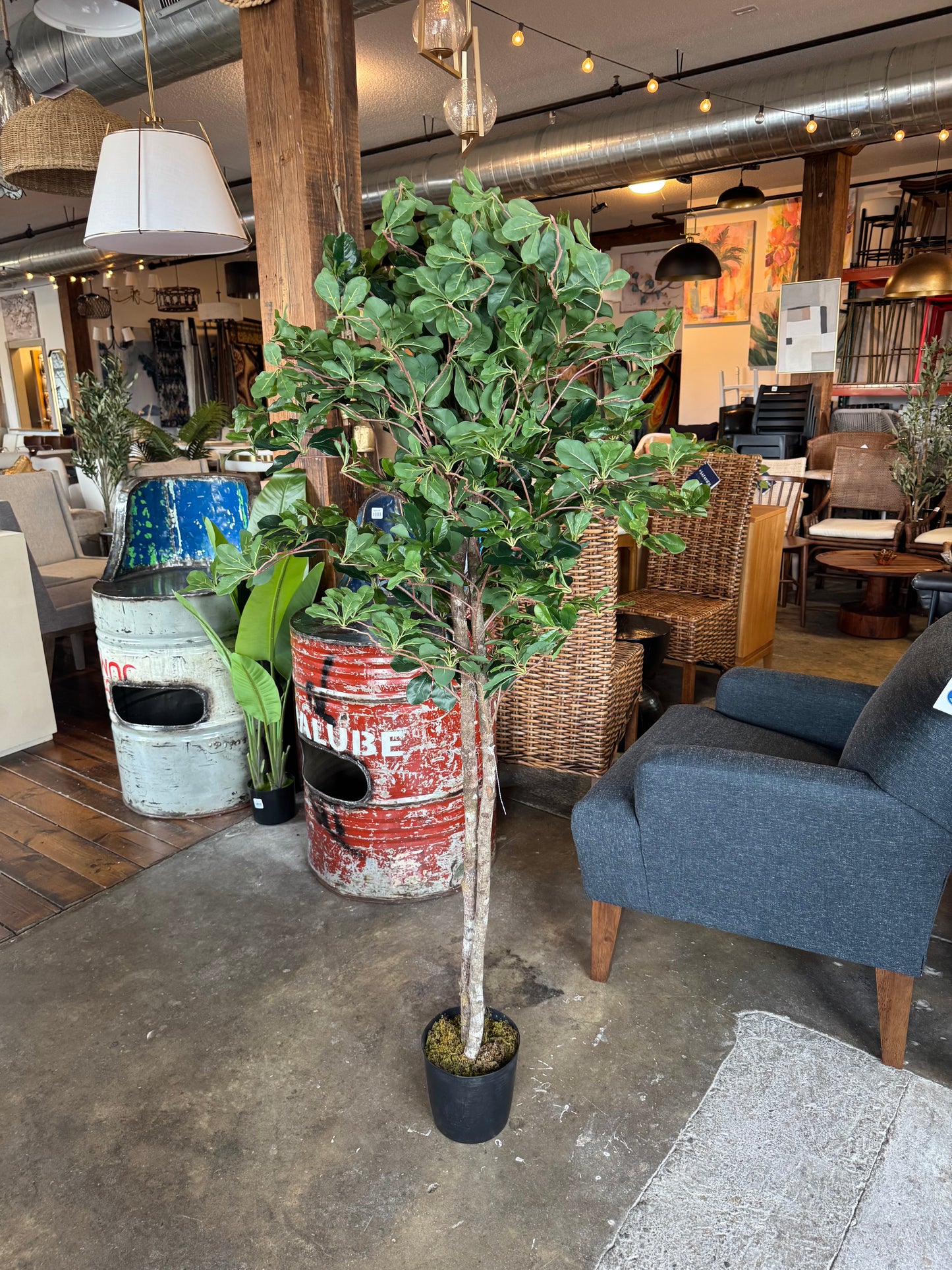 Faux ficus tree w/ natural wood roots 🌳