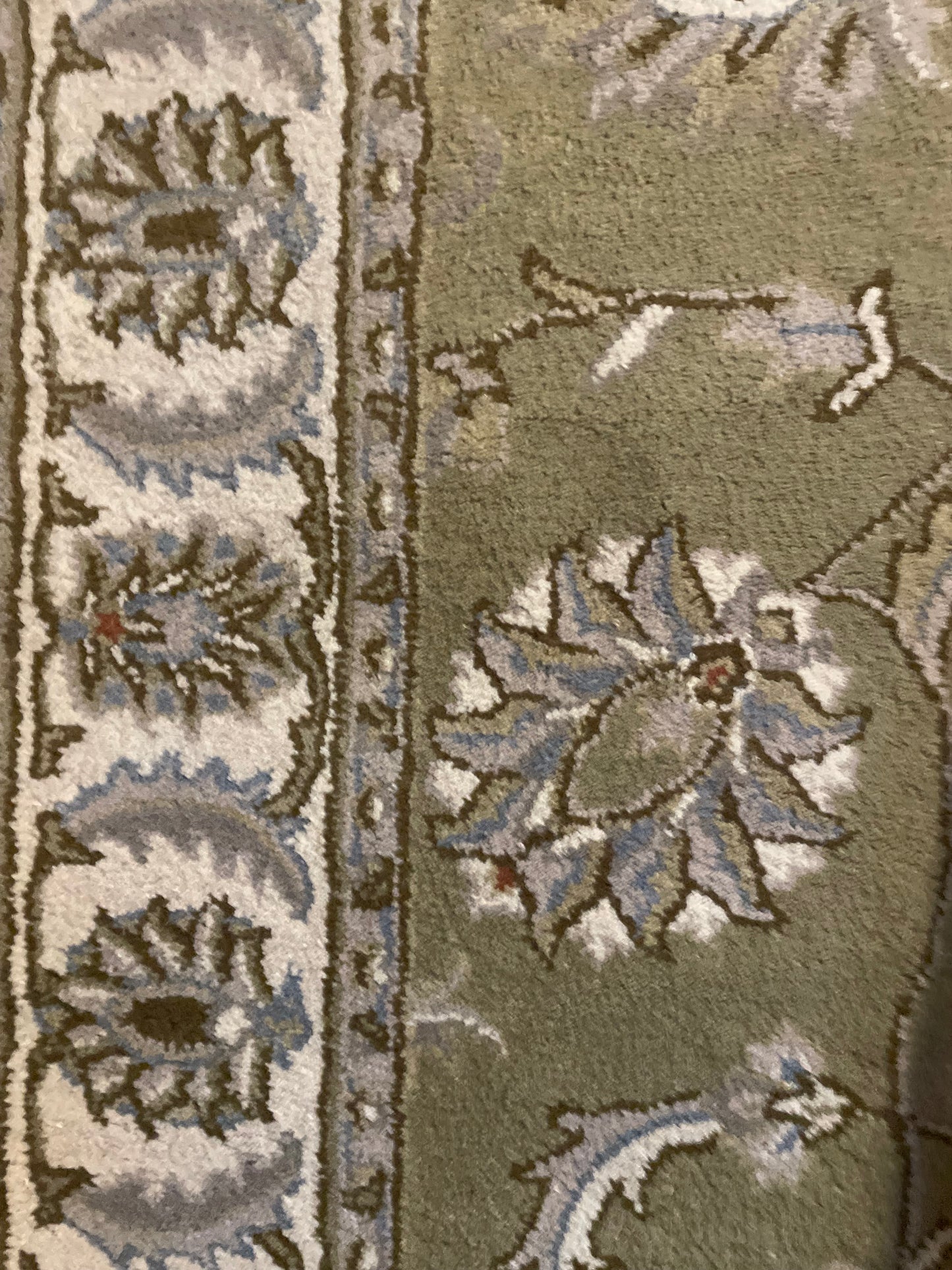 5x8 sage & ivory traditional oriental wool rug ⛰️