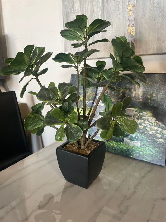 Potted faux plant 🌿