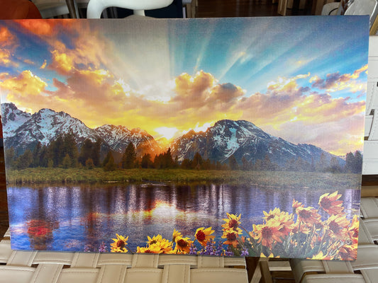 16x24 beautiful mountain & sun canvas ☀️