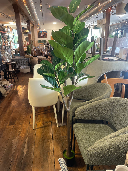5ft fiddle leaf tree 🌿