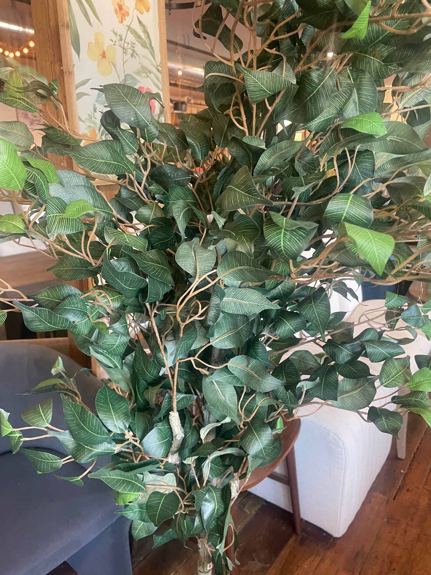 6ft faux ficus tree 🌿