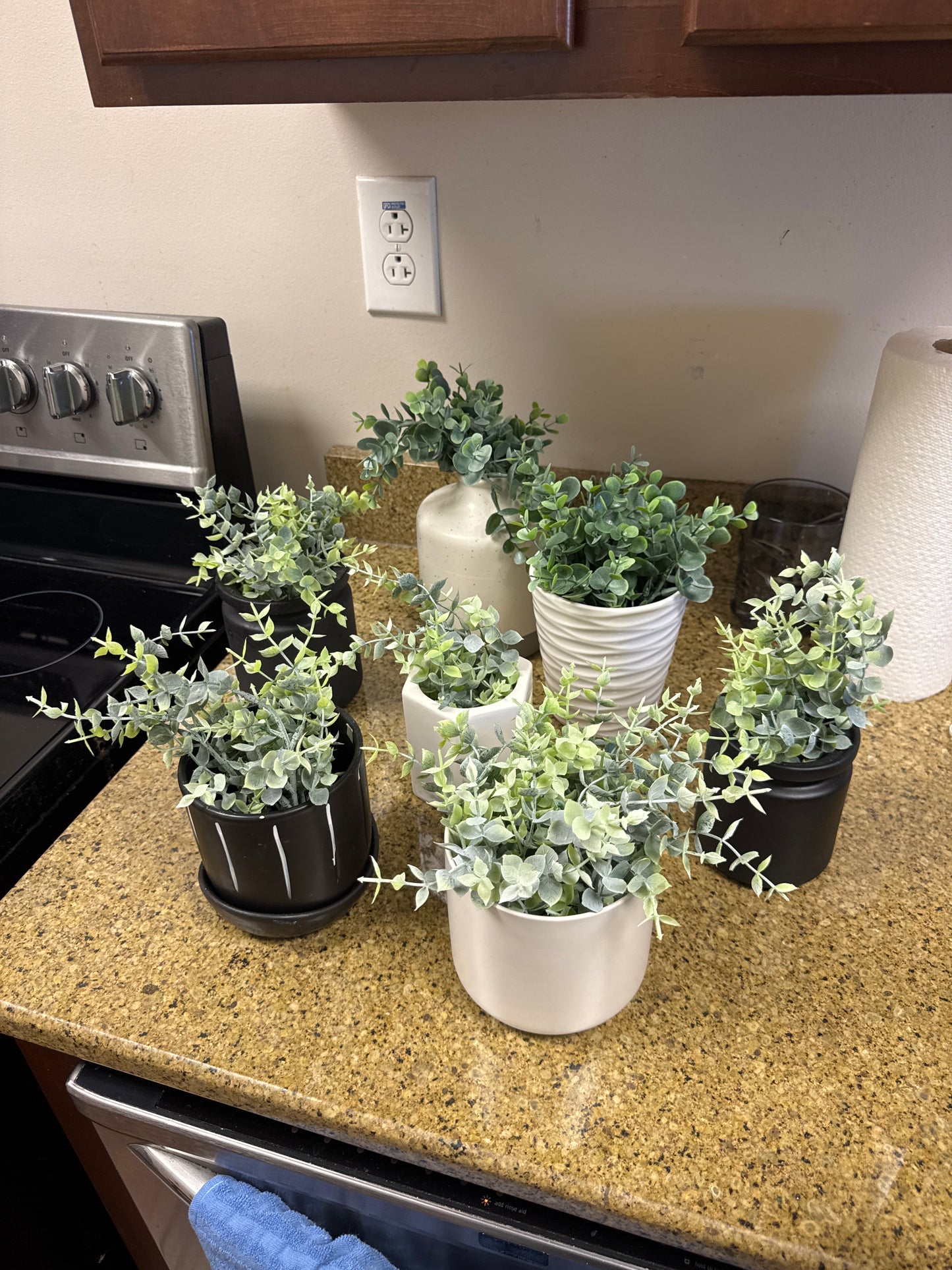 White & black ceramic pots with faux plants 🌿