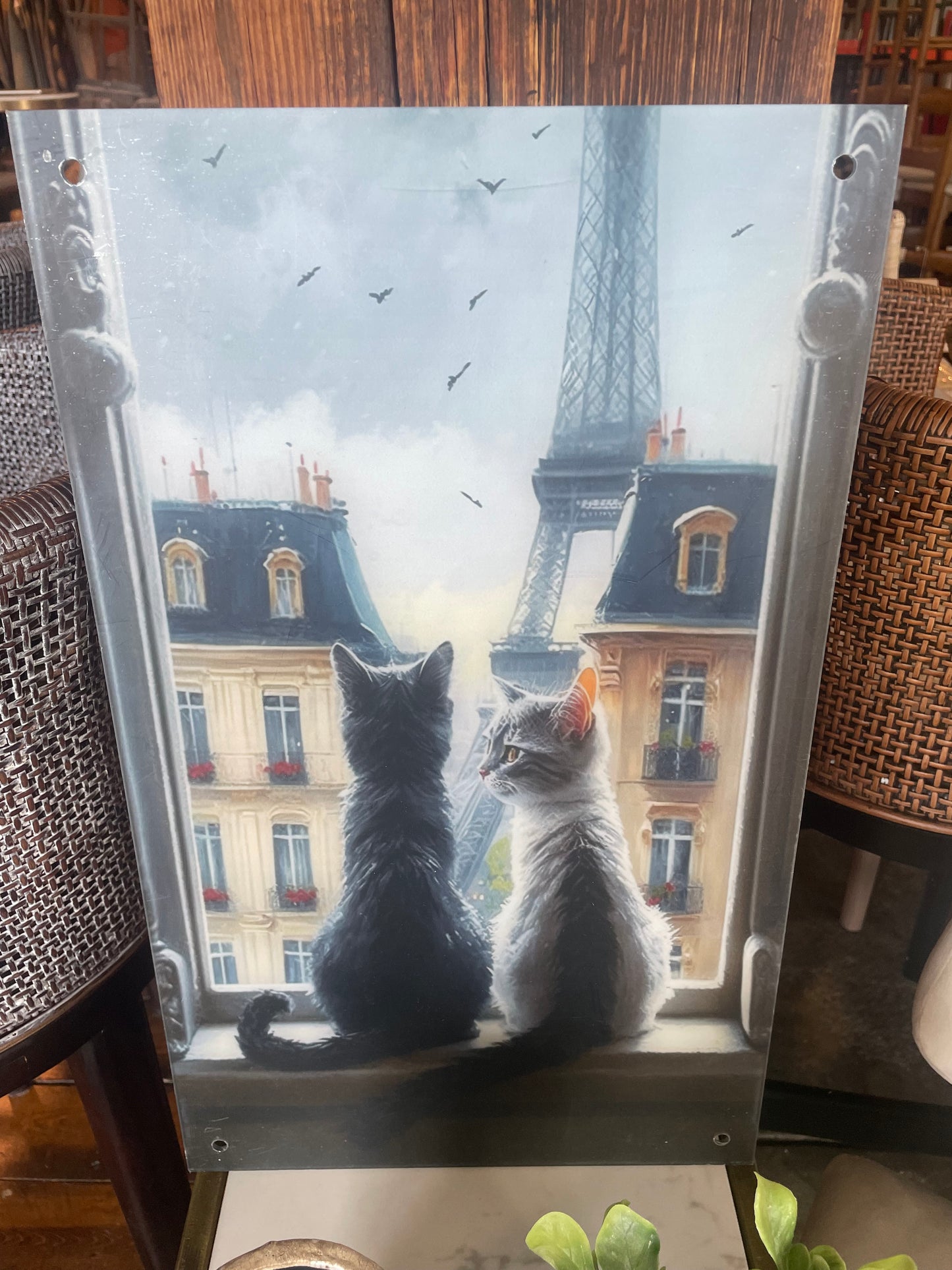 Two Cats In Paris acrylic wall art🗼