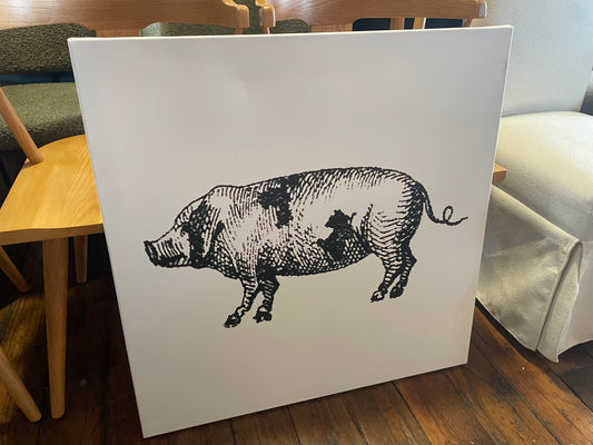 Sketched pig 30” square canvas 🐷