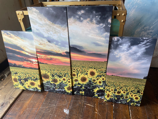 4 piece sunflower canvas art 🌻
