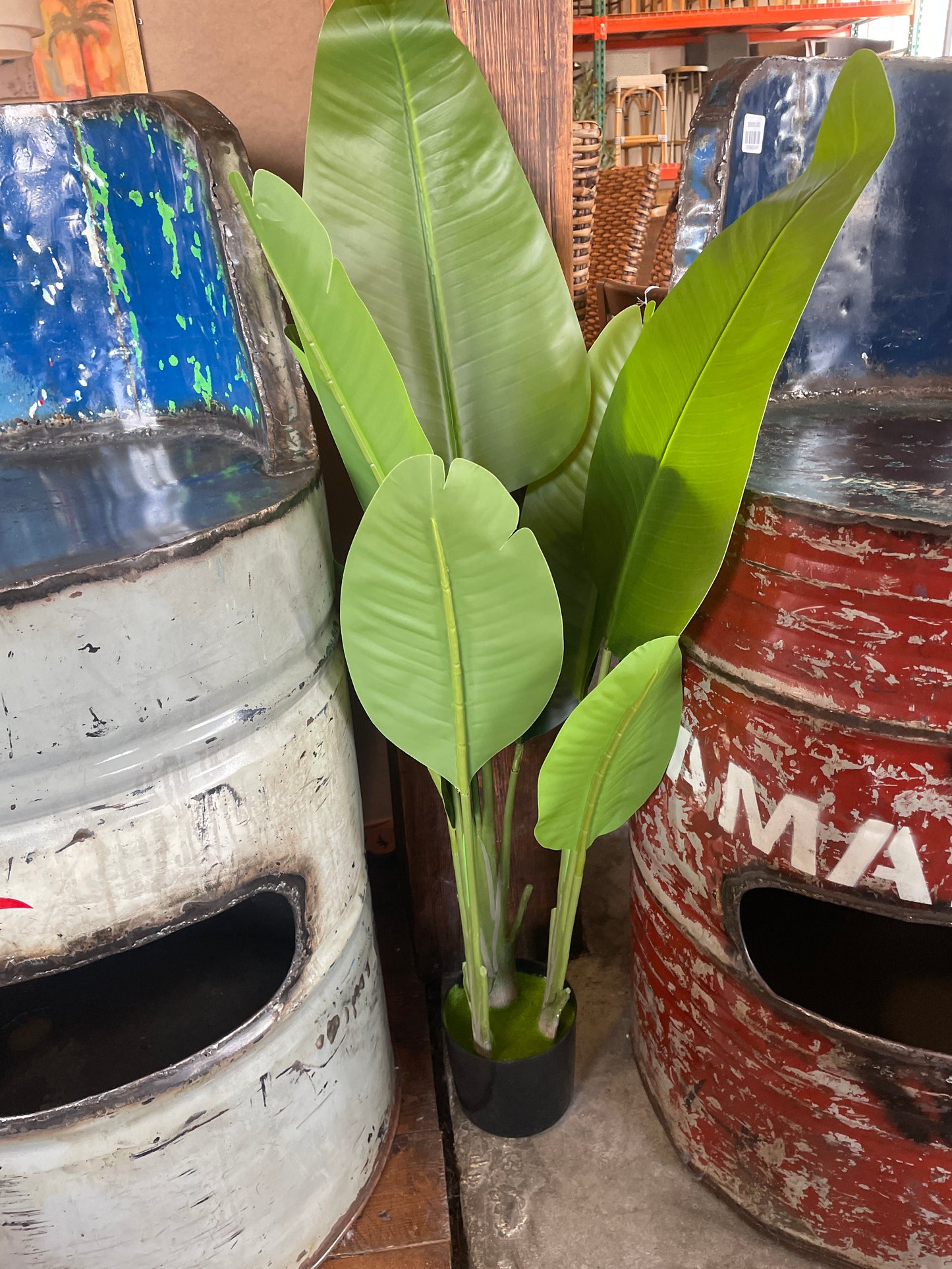 4ft faux birds of paradise plant 🌿