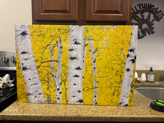 Yellow birch tree canvas, 16x24 🌻