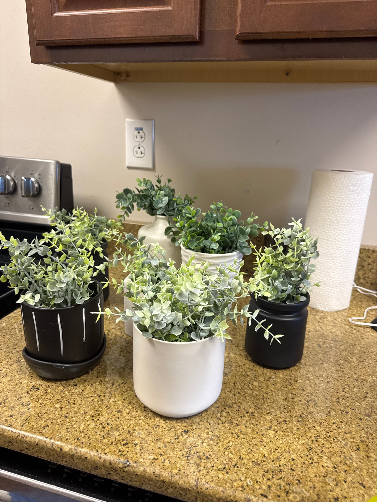 White & black ceramic pots with faux plants 🌿