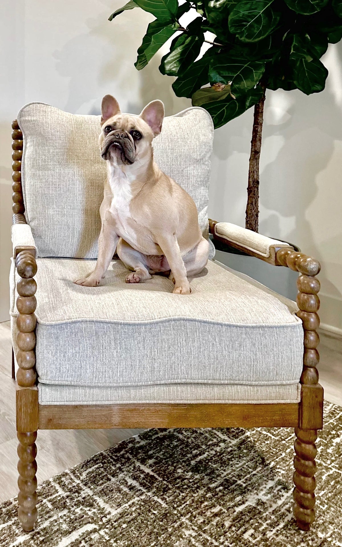 Chelsea Friday Furniture