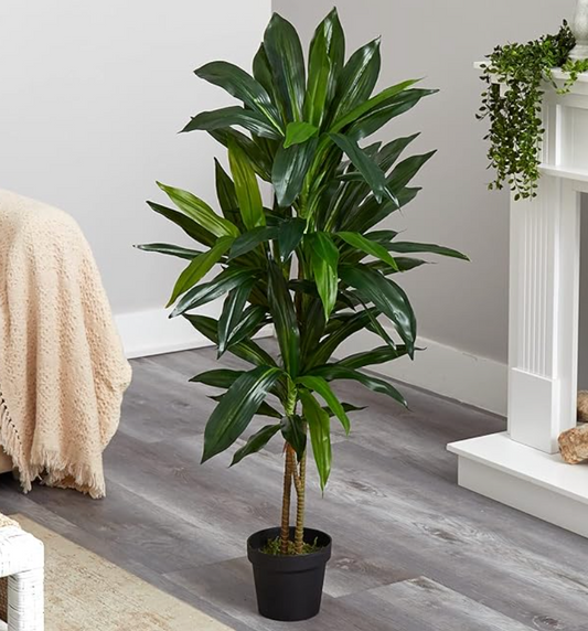 Faux 48in dracaena / corn plant 🌽
