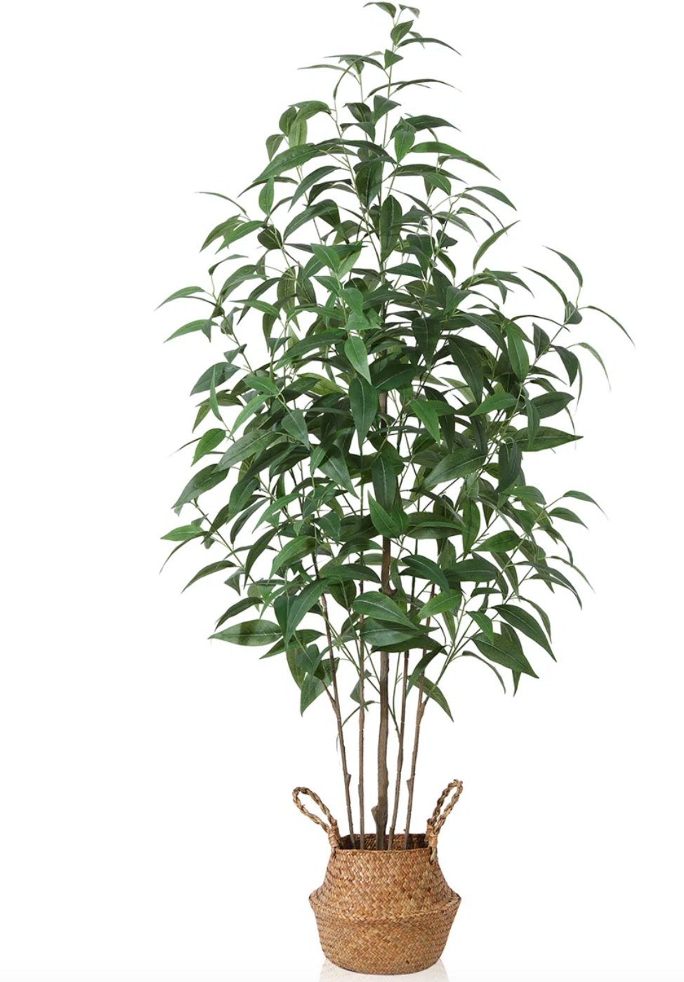 Faux eucalyptus tree in basket, with pot 🌿