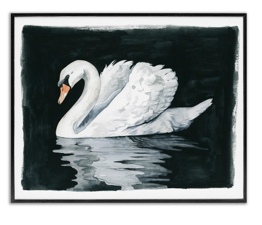 Beautiful swan reflection 24x30 canvas 🦢