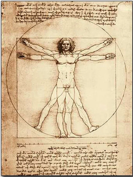 Vitruvian Man canvas 🎨