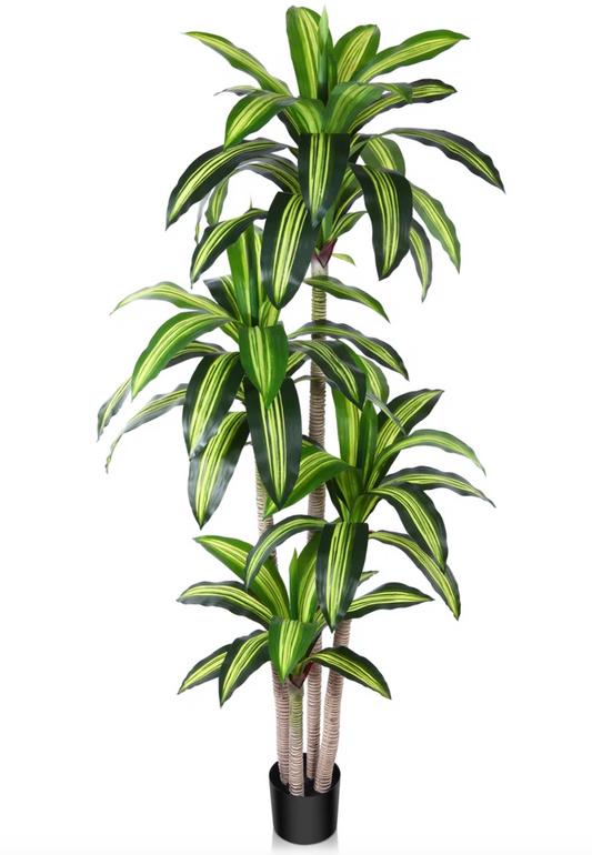 Faux dracaena plant 🌿