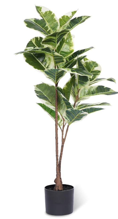 4ft faux rubber tree ficus plant 🌿