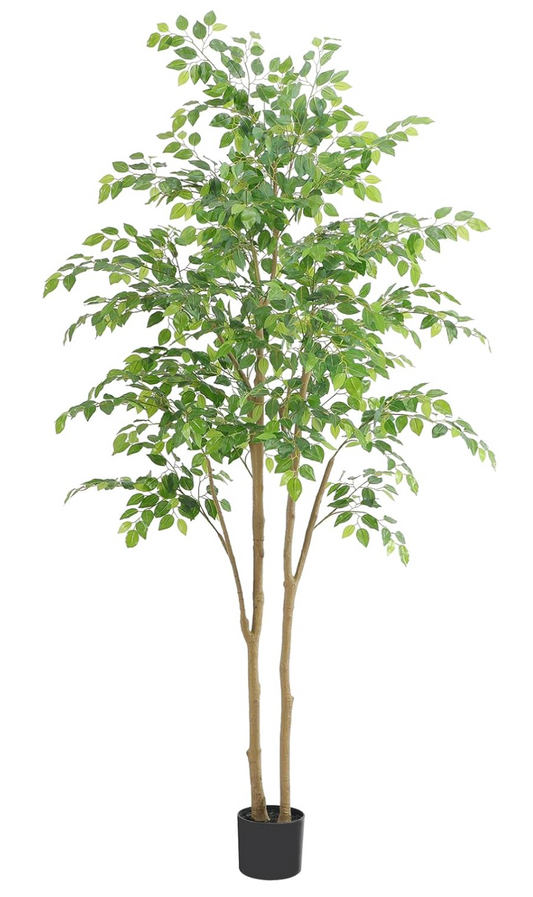 7ft faux potted ficus tree 🌿
